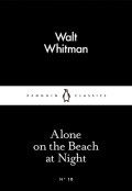 On The Beach at Night Alone