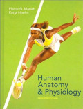 Human Anatomy And Physiology Seventh Edition