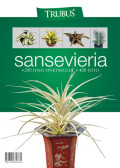 Sansevieria