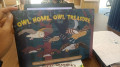 owl home, owl treasure: a project by the student of the raffles ecological literacy programme
