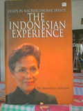 Essays In Macroeconomic Policy: The Indonesian Experience